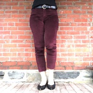 Banana Republic Sloane velvet crop pants